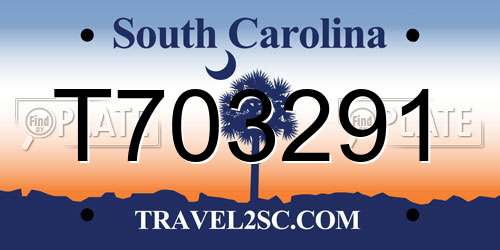 T703291 South Carolina License Plate