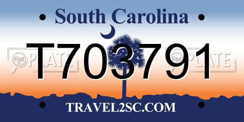 T703791 South Carolina License Plate