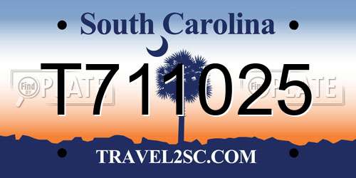 T711025 South Carolina License Plate