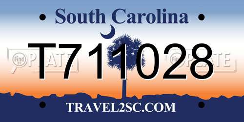 T711028 South Carolina License Plate