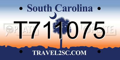 T711075 South Carolina License Plate