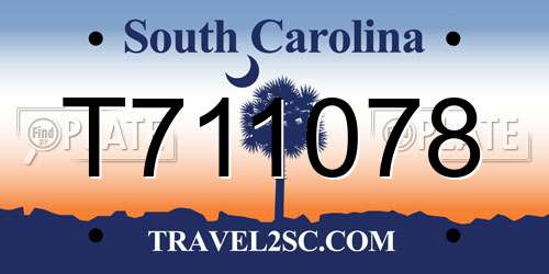 T711078 South Carolina License Plate