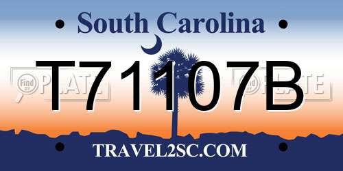 T71107B South Carolina License Plate