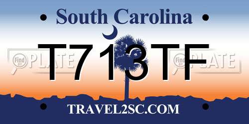T713TF South Carolina License Plate
