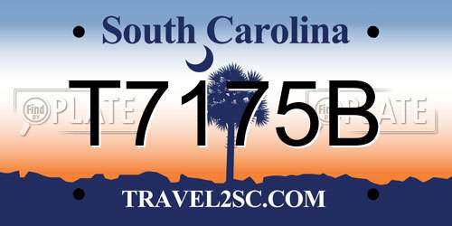 T7175B South Carolina License Plate