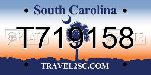 T719158 South Carolina License Plate