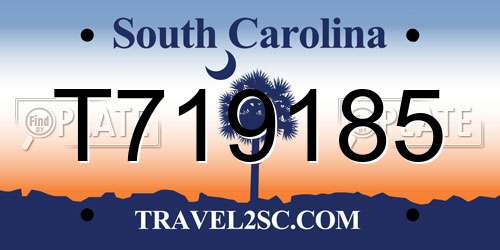 T719185 South Carolina License Plate