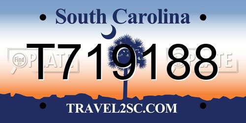 T719188 South Carolina License Plate