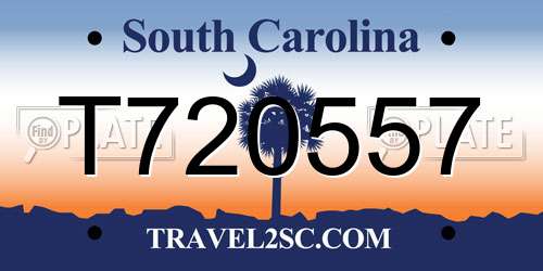T720557 South Carolina License Plate