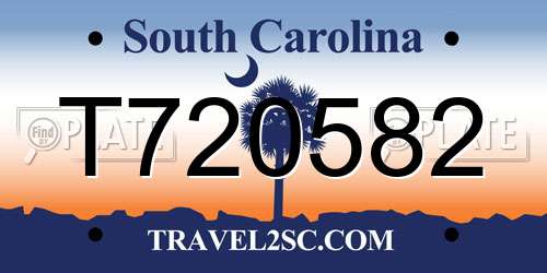 T720582 South Carolina License Plate