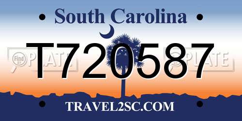 T720587 South Carolina License Plate