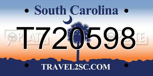 T720598 South Carolina License Plate