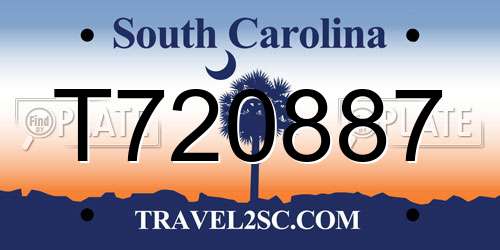T720887 South Carolina License Plate