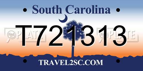 T721313 South Carolina License Plate