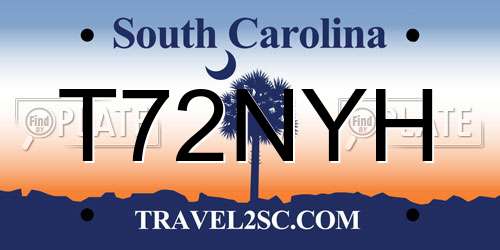 T72NYH South Carolina License Plate