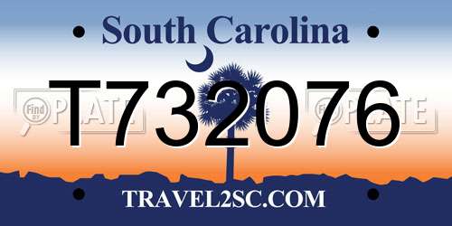 T732076 South Carolina License Plate