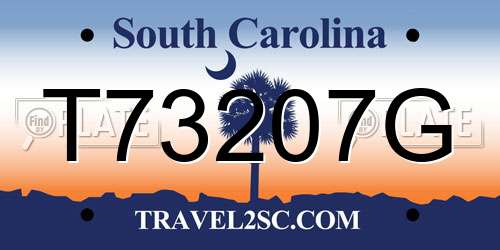 T73207G South Carolina License Plate