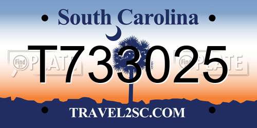 T733025 South Carolina License Plate