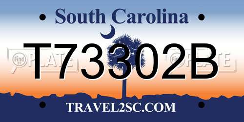 T73302B South Carolina License Plate