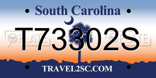 T73302S South Carolina License Plate