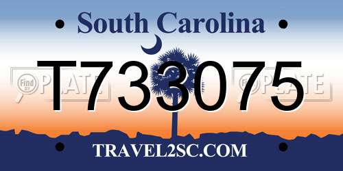 T733075 South Carolina License Plate