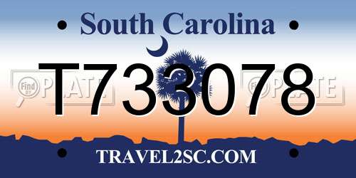 T733078 South Carolina License Plate