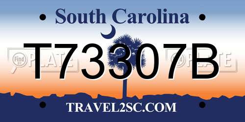 T73307B South Carolina License Plate
