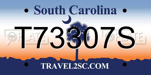 T73307S South Carolina License Plate