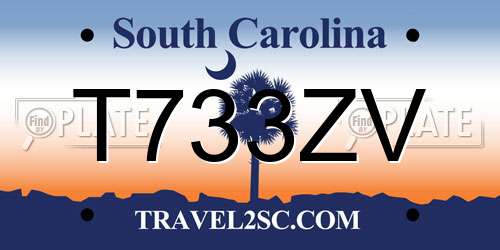 T733ZV South Carolina License Plate