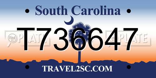 T736647 South Carolina License Plate