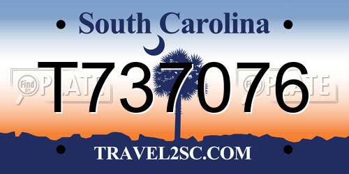 T737076 South Carolina License Plate
