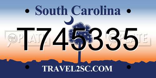 T745335 South Carolina License Plate