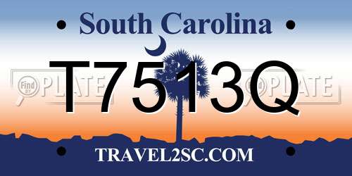 T7513Q South Carolina License Plate