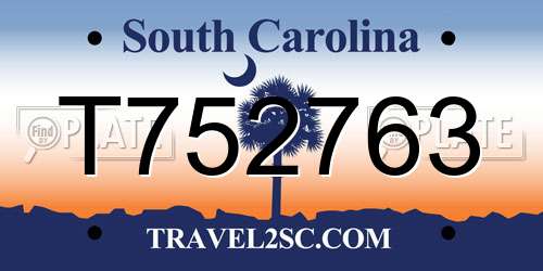 T752763 South Carolina License Plate