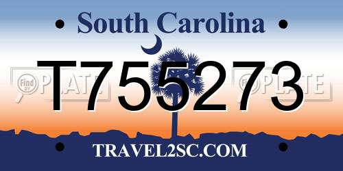 T755273 South Carolina License Plate