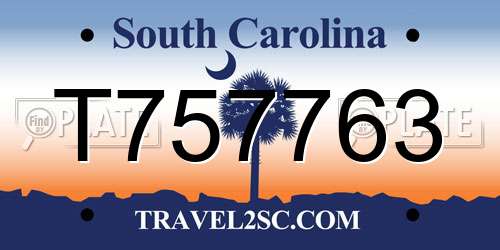 T757763 South Carolina License Plate