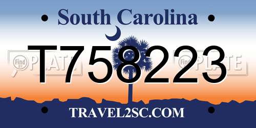 T758223 South Carolina License Plate