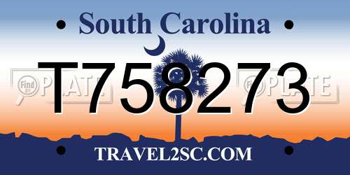 T758273 South Carolina License Plate