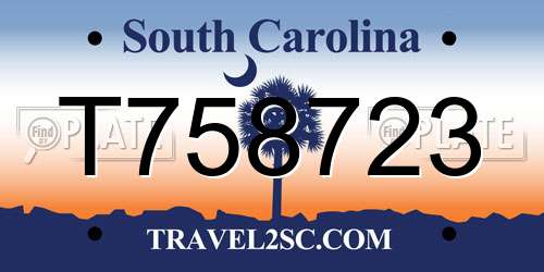 T758723 South Carolina License Plate