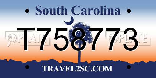 T758773 South Carolina License Plate