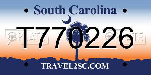 T770226 South Carolina License Plate