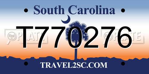 T770276 South Carolina License Plate