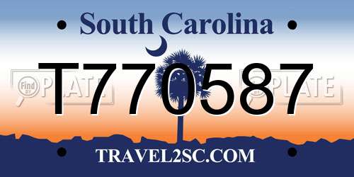 T770587 South Carolina License Plate