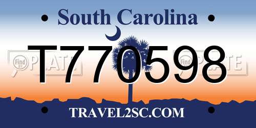 T770598 South Carolina License Plate