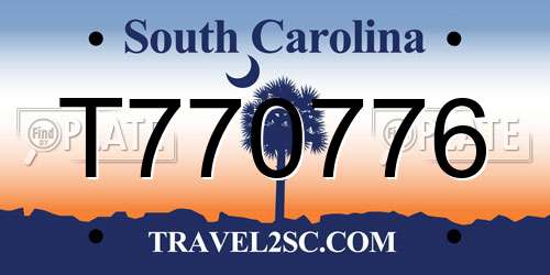 T770776 South Carolina License Plate