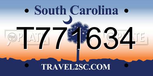 T771634 South Carolina License Plate