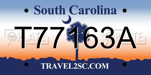 T77163A South Carolina License Plate
