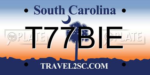 T77BIE South Carolina License Plate