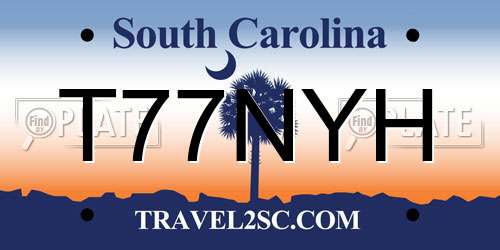 T77NYH South Carolina License Plate