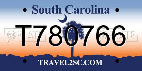 T780766 South Carolina License Plate
